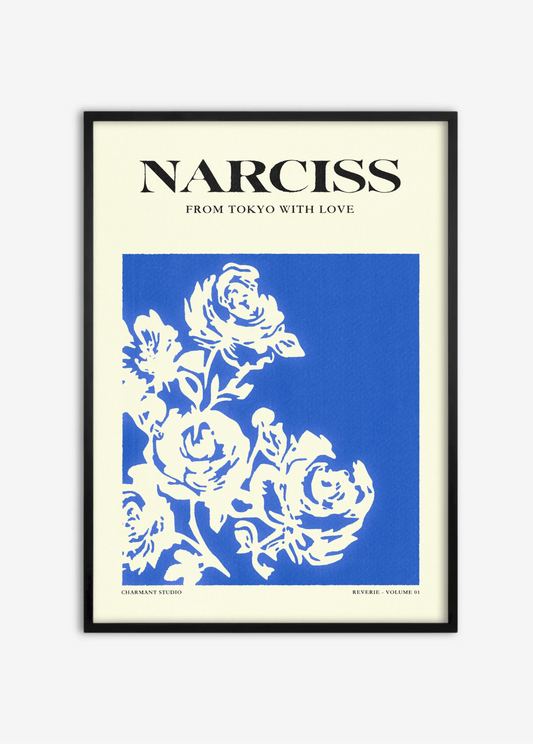 Narciss