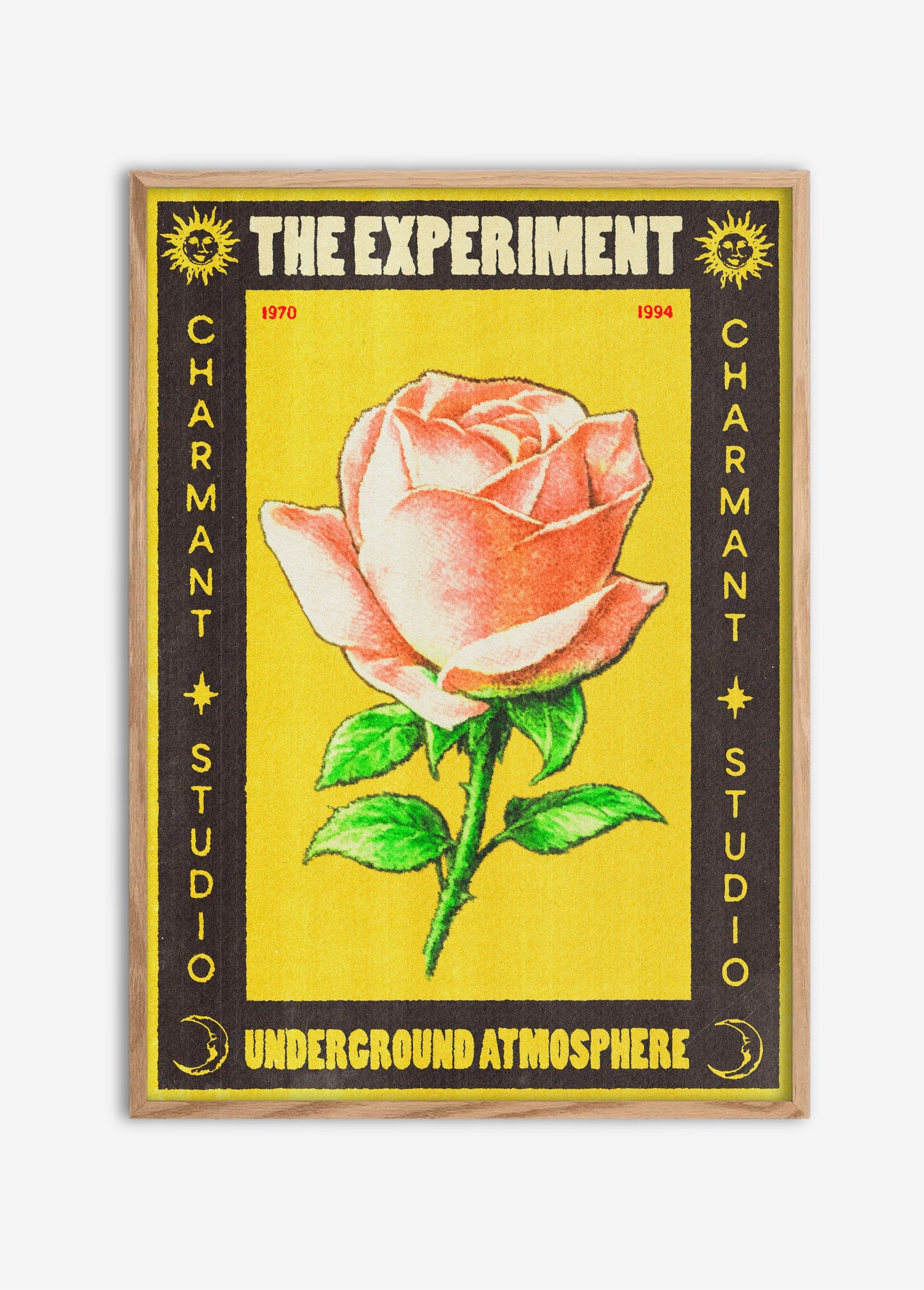 Poster The Experiment cadre bois
