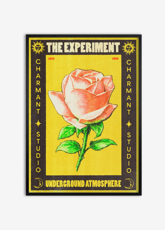 Poster The Experiment cadre noir