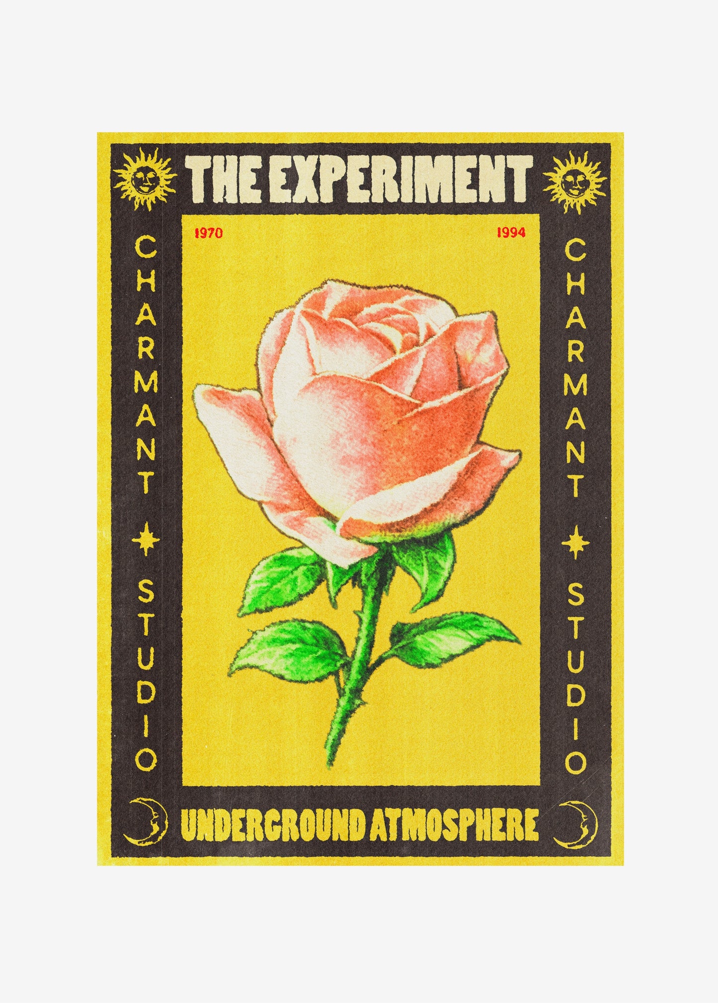 Poster The Experiment sans cadre