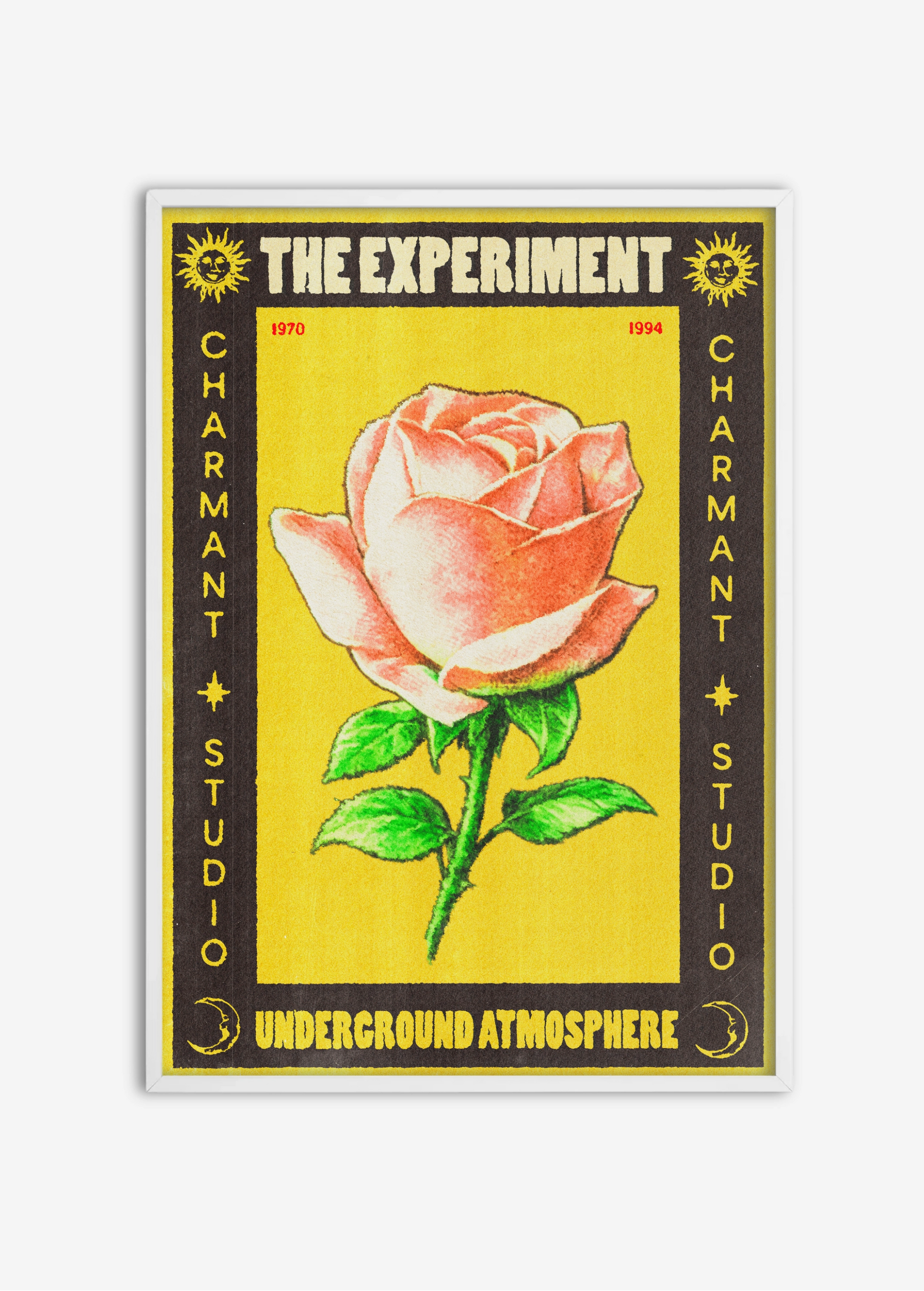 Poster The Experiment cadre blanc